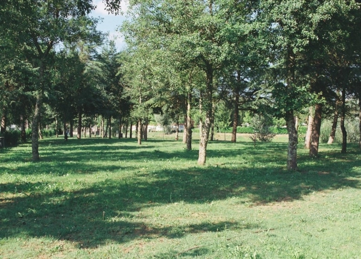 zobacz camping - zdjęcie 24