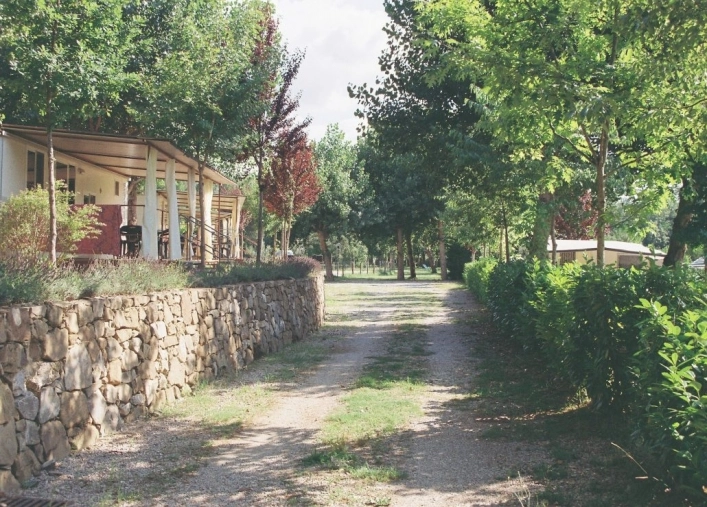 zobacz camping - zdjęcie 22