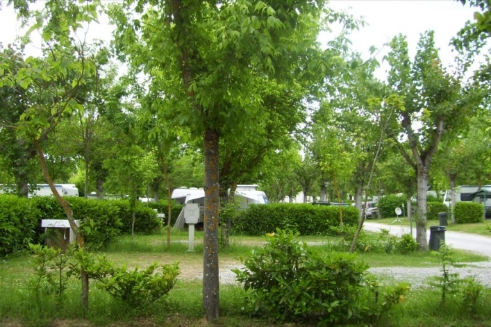 zobacz camping - zdjęcie 14