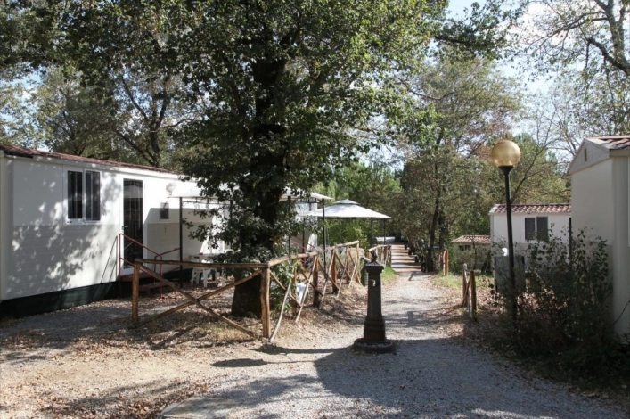 zobacz camping - zdjęcie 8