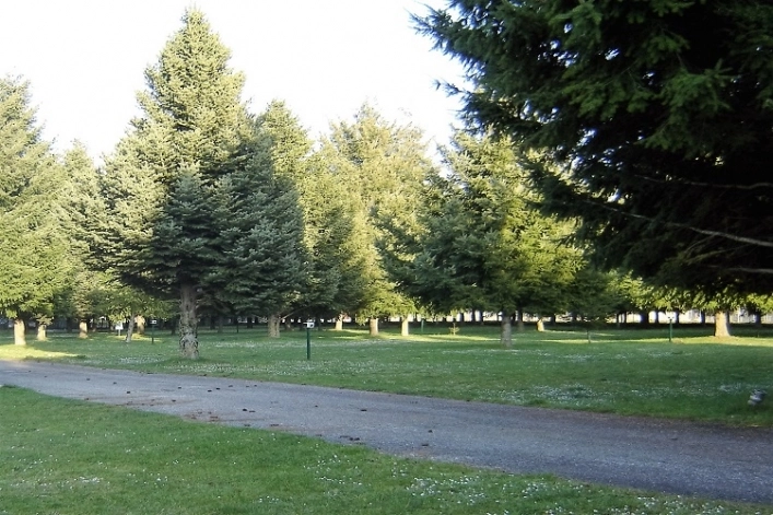 zobacz camping - zdjęcie 18