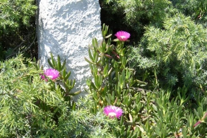 zobacz camping - zdjęcie 23