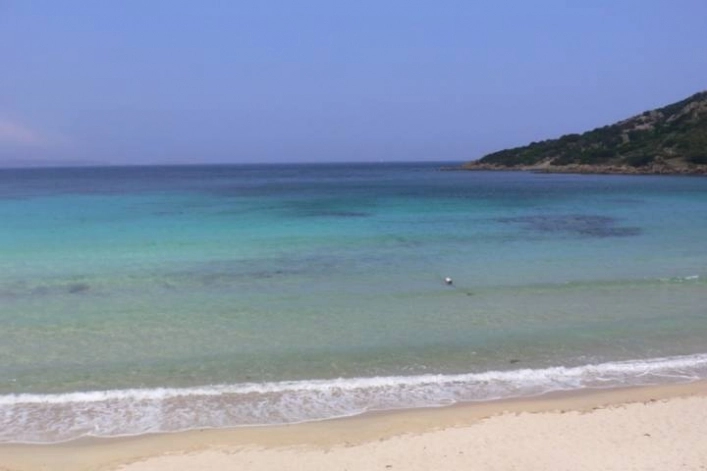 zobacz camping - zdjęcie 13