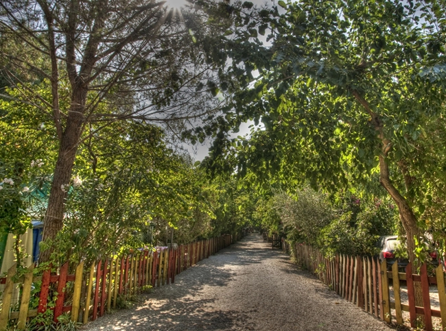 Campeggio La Foce dei Tramonti - zdjęcie 1