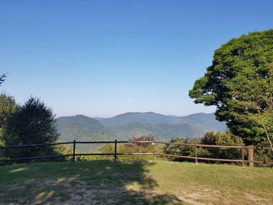 zobacz camping - zdjęcie 15