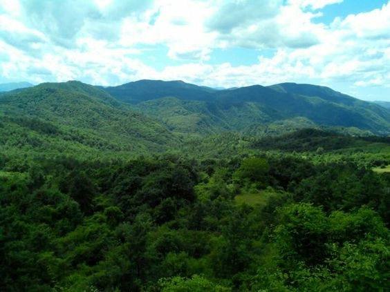 zobacz camping - zdjęcie 14