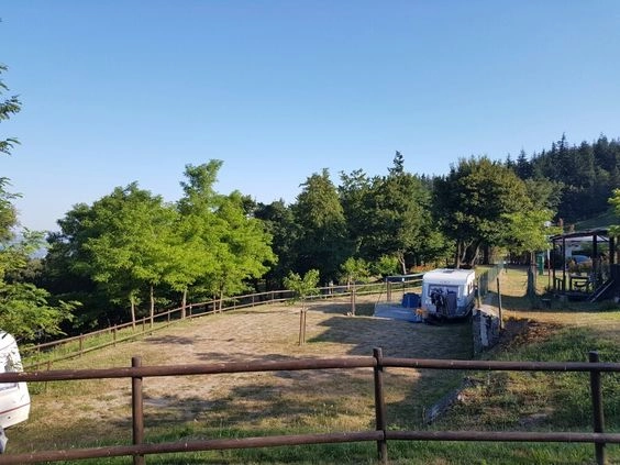 zobacz camping - zdjęcie 13