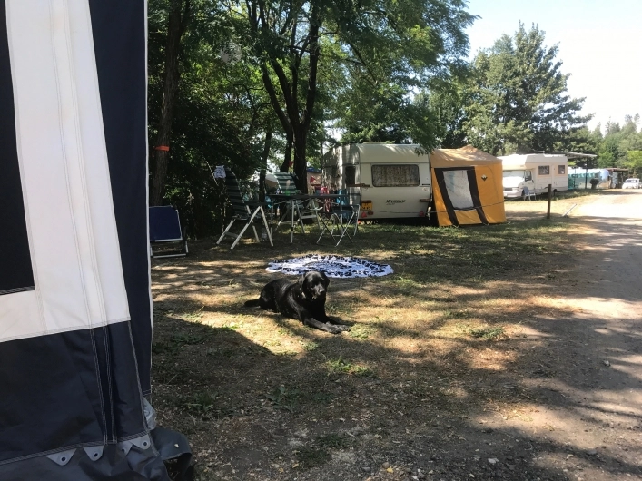zobacz camping - zdjęcie 9