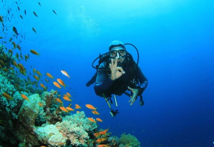 zobacz camping - zdjęcie 2