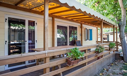 zobacz camping - zdjęcie 15