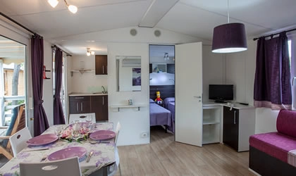 zobacz camping - zdjęcie 14