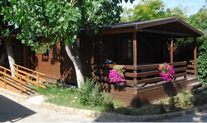 zobacz camping - zdjęcie 4