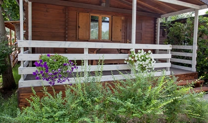 Campeggio La Mimosa - zdjęcie 2