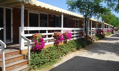 zobacz camping - zdjęcie 2