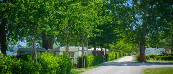 zobacz camping - zdjęcie 8