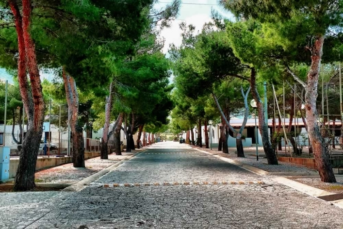 zobacz camping - zdjęcie 9