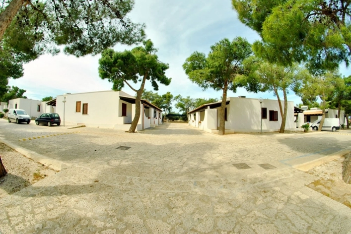 zobacz camping - zdjęcie 6