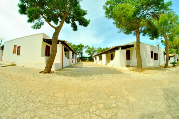 zobacz camping - zdjęcie 5