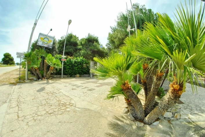 zobacz camping - zdjęcie 2