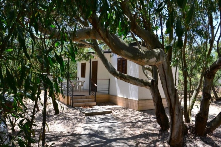 zobacz camping - zdjęcie 8