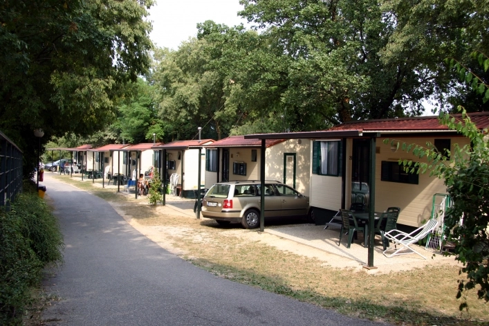 zobacz camping - zdjęcie 4