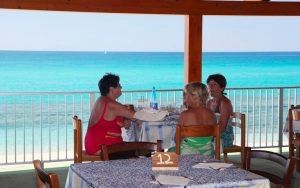 zobacz camping - zdjęcie 11