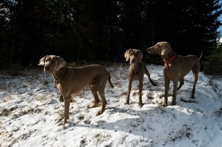 zobacz camping - zdjęcie 7