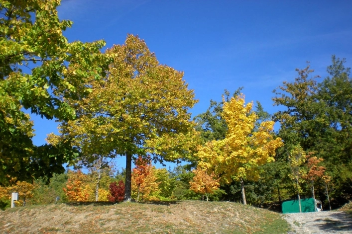 Campeggio La Verna - zdjęcie 1
