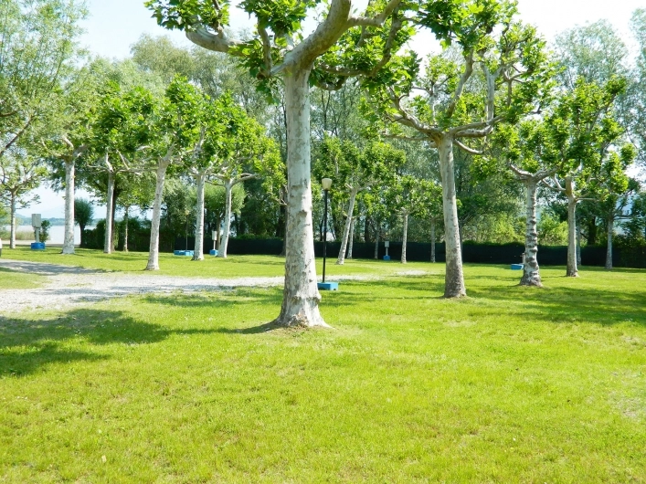 zobacz camping - zdjęcie 19