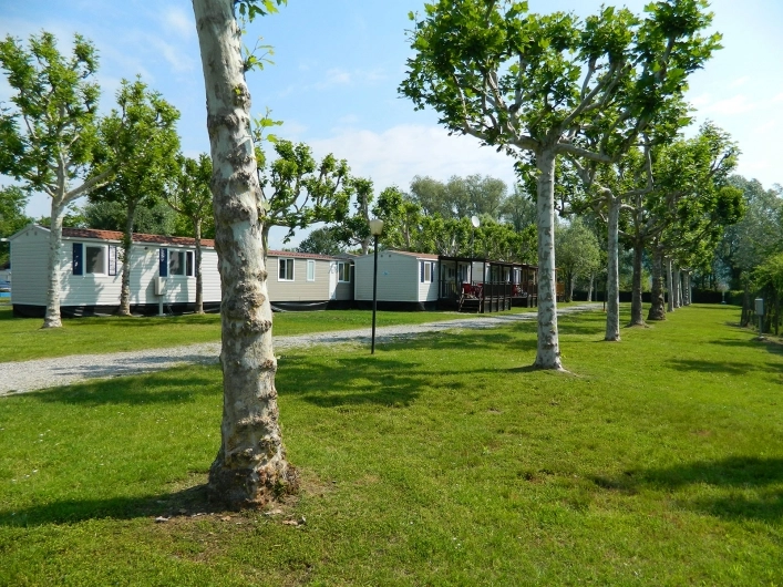 zobacz camping - zdjęcie 18