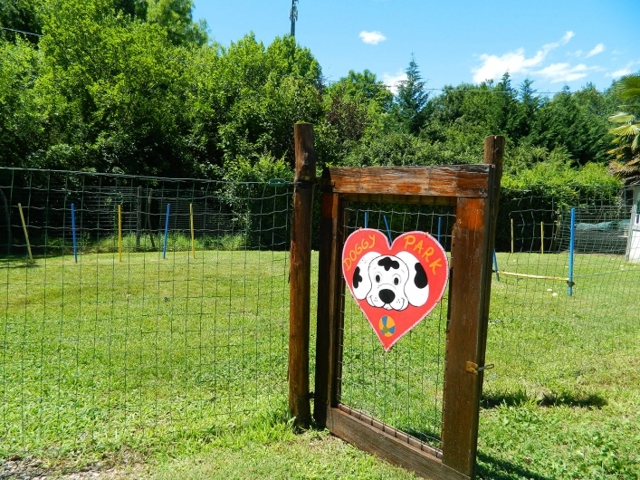 zobacz camping - zdjęcie 10