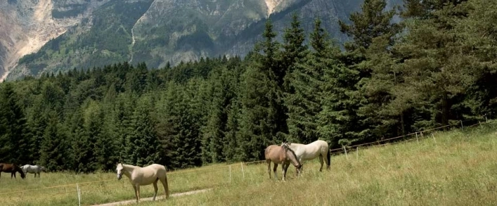 zobacz camping - zdjęcie 9