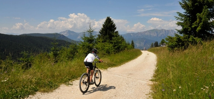 zobacz camping - zdjęcie 2