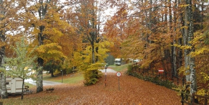 Campeggio Lago di Lavarone - zdjęcie 1