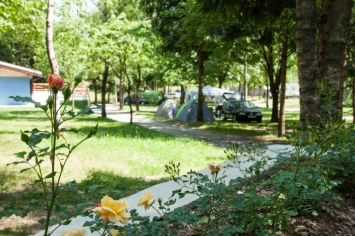 zobacz camping - zdjęcie 15