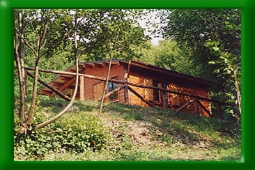 zobacz camping - zdjęcie 10