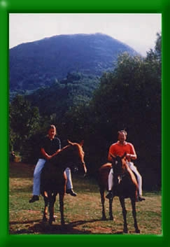 zobacz camping - zdjęcie 6