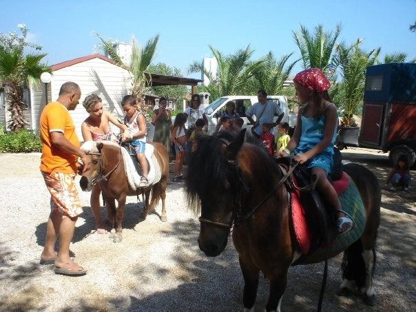 zobacz camping - zdjęcie 29