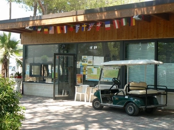 zobacz camping - zdjęcie 24