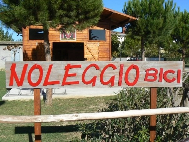 zobacz camping - zdjęcie 23