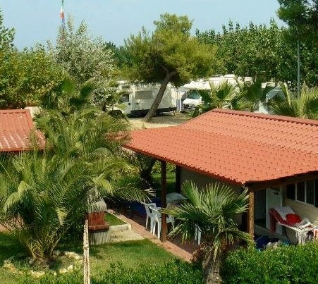 zobacz camping - zdjęcie 11