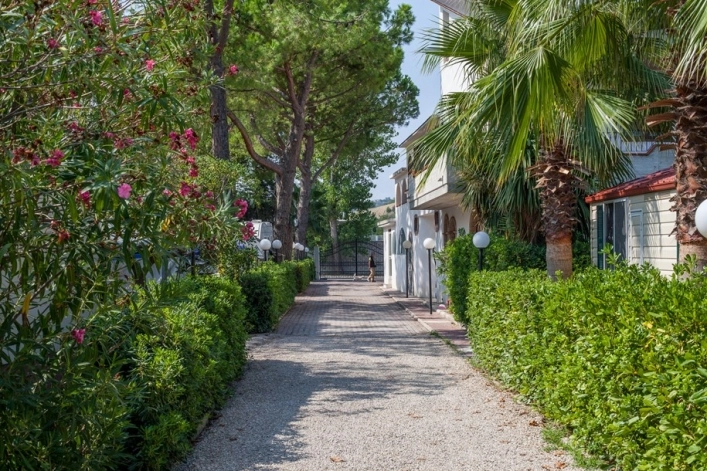 zobacz camping - zdjęcie 4