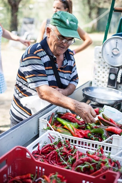 zobacz camping - zdjęcie 3