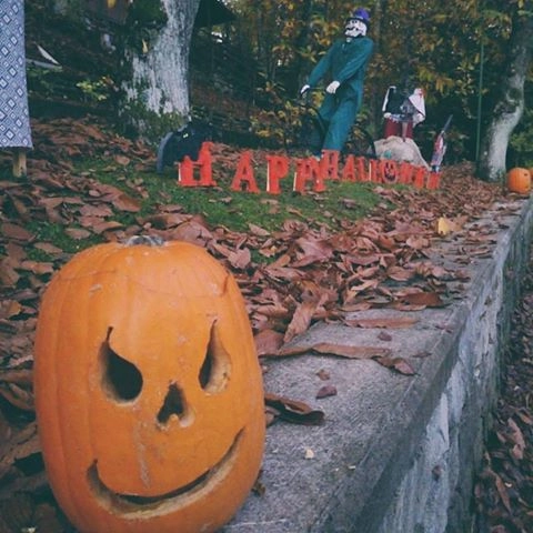 zobacz camping - zdjęcie 15