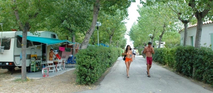 zobacz camping - zdjęcie 23