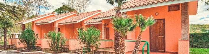 zobacz camping - zdjęcie 3