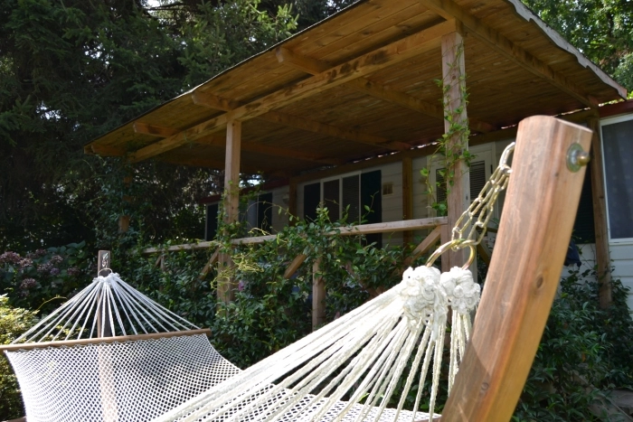 zobacz camping - zdjęcie 6