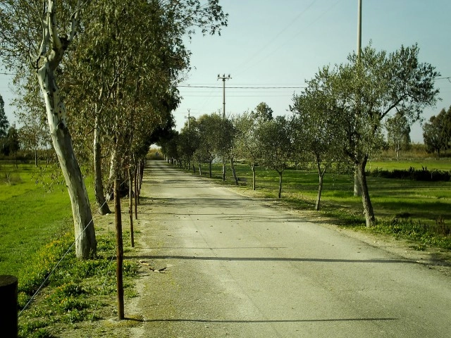 zobacz camping - zdjęcie 24