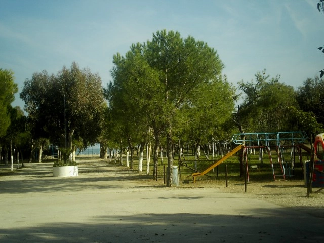 zobacz camping - zdjęcie 20