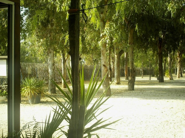 zobacz camping - zdjęcie 19